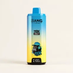 Bang Legend 110K Puffs 3 en 1 Vape Jetable, 850mAh, USB Type-C, Résistance Mesh